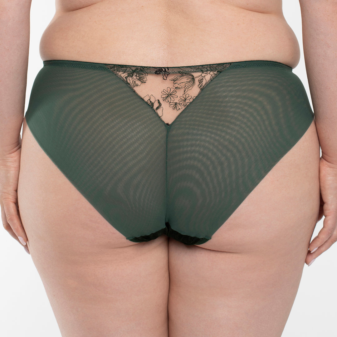 Samanta Ola Malachite Velvet Sheer Embroidered Brief Panty